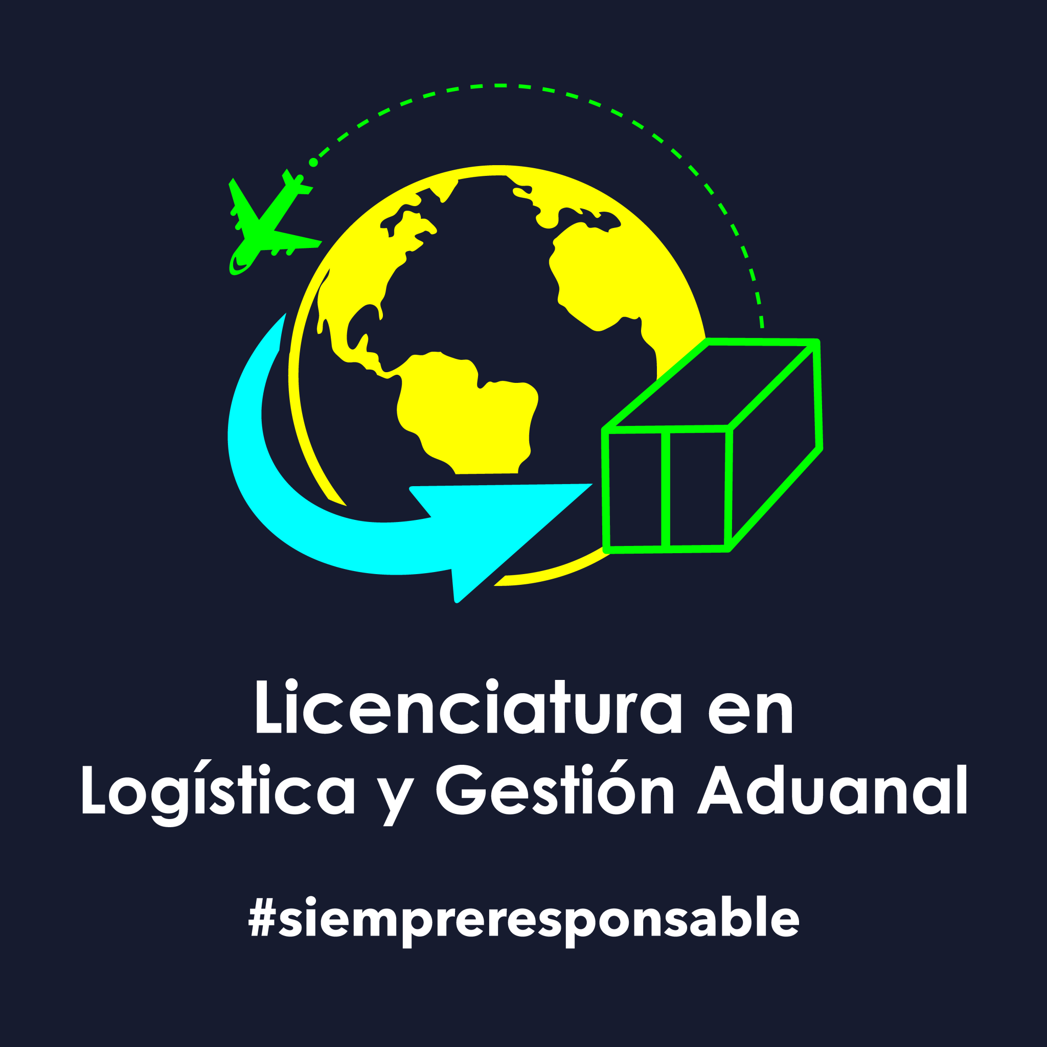 Licenciatura En Log Stica Y Gesti N Aduanal Universidad Multit Cnica